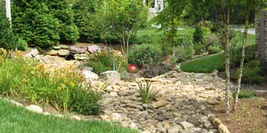 Water Sensitive Ways to Grow Your Garden