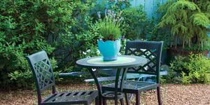 Resilience Rising: Focused Landscaping for Tighter Budgets