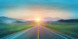When the Incentives Disappear, Will Sustainability Win?