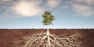 Energy Star’s Roots – the Foundation of the Green Building Movement